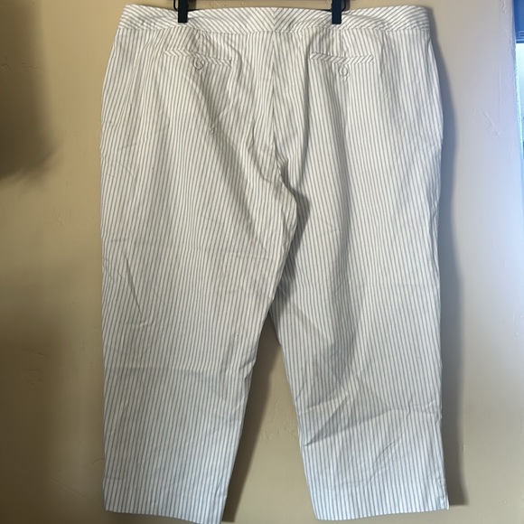 Talbots Woman Striped Heritage Capri Pants Sz 22W - Picture 5 of 8